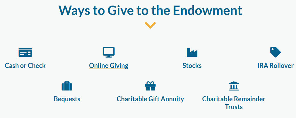 endowment graphic